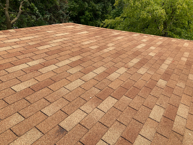 Finshed Roof Project