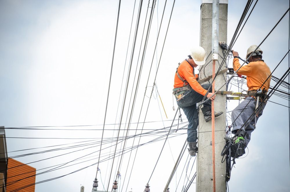 Electricians Climbing Electric Poles — PRO Solar & Electrical In Maitland, NSW