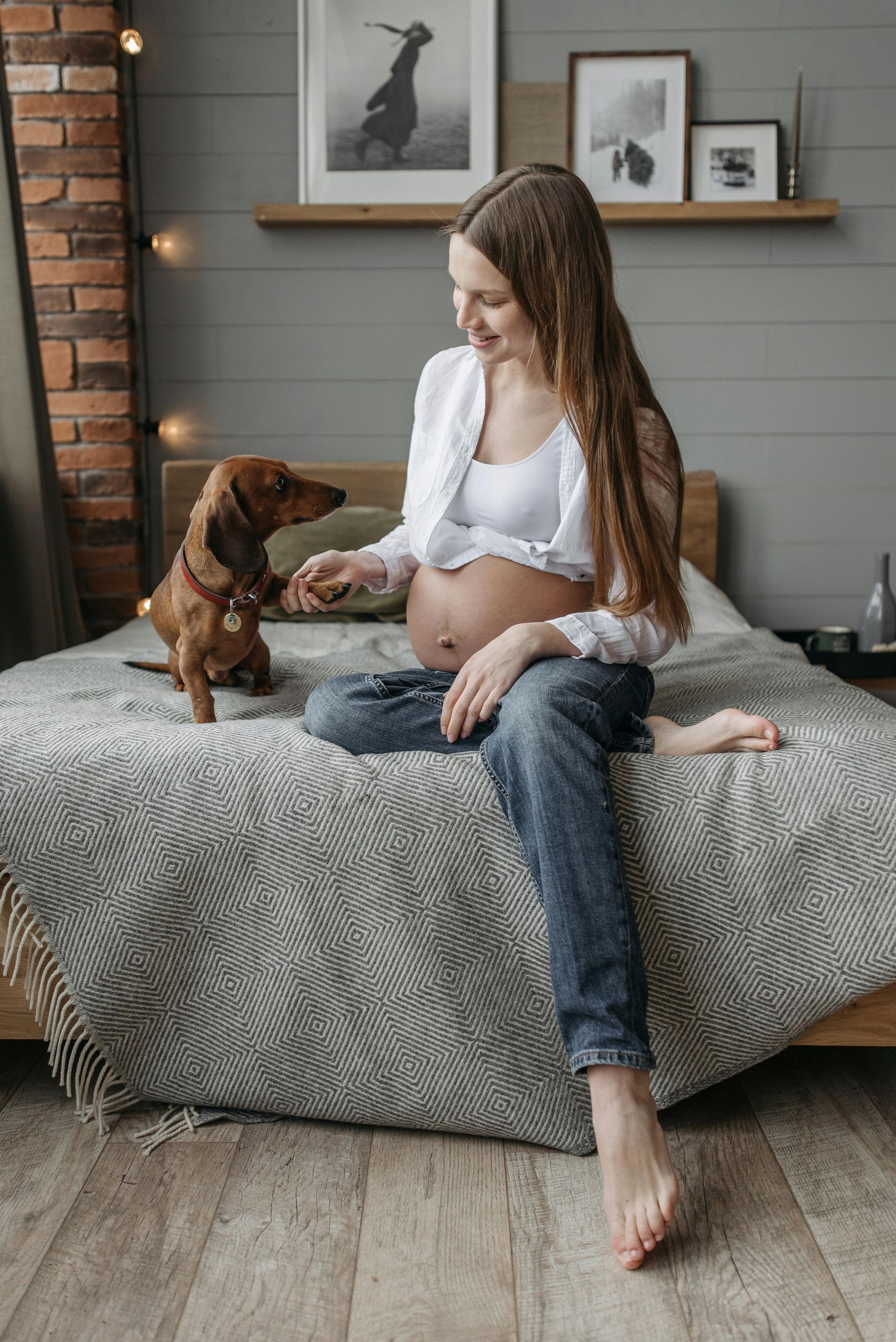 A pregnant person sits on a bed, smiling and holding hands with a dachshund dog in a cozy bedroom with framed wall art.