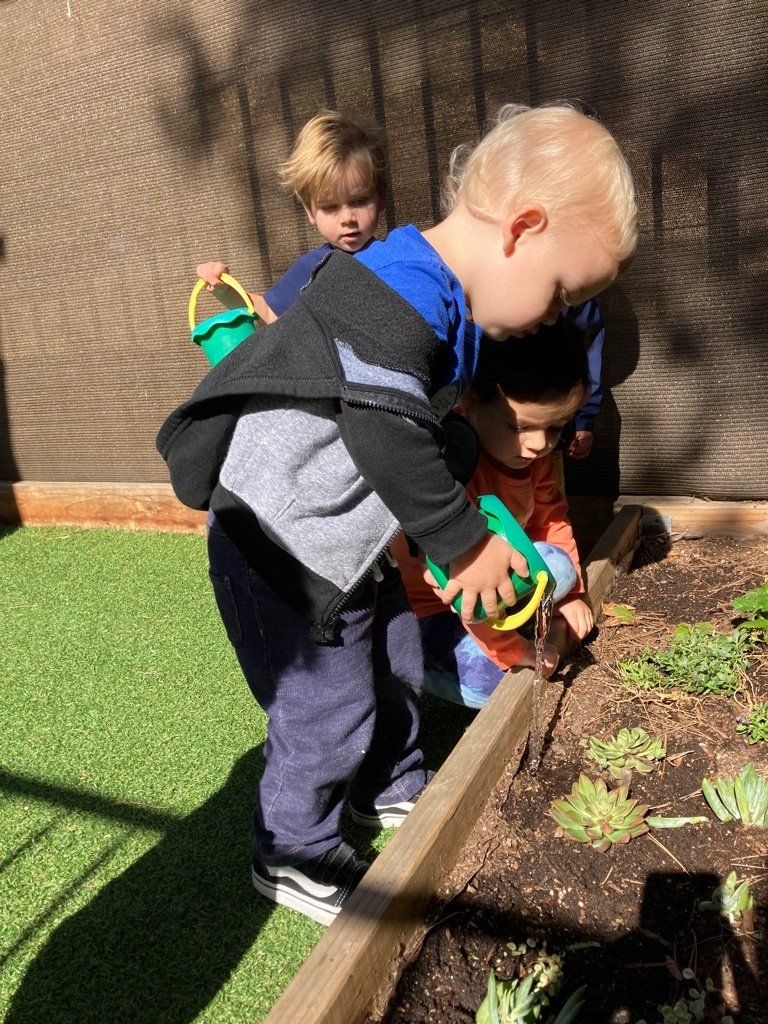 Montessori Toddler