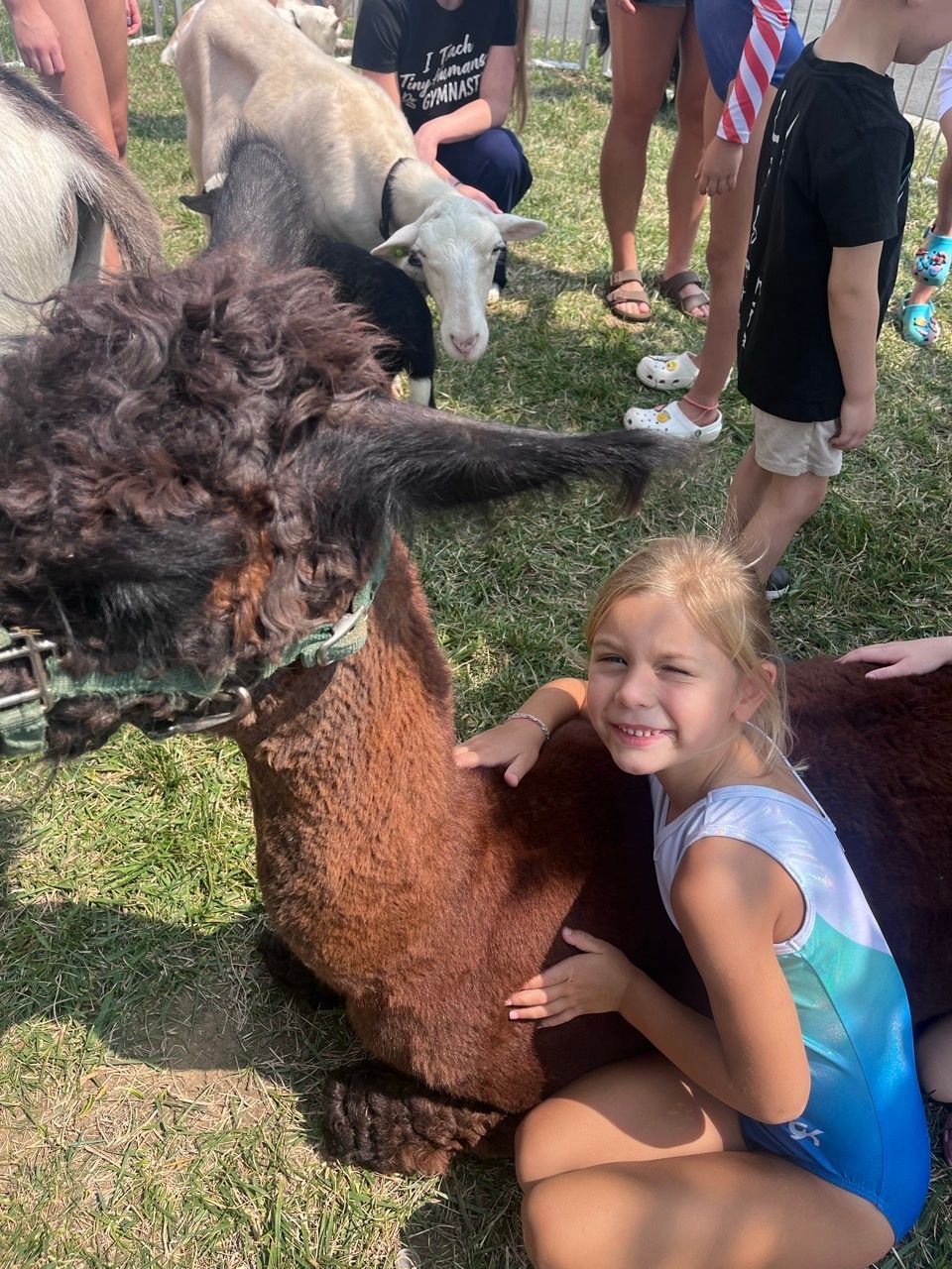 Campers having fun at a Hope Gymnastics camp in Ashburn, VA (photo 30)