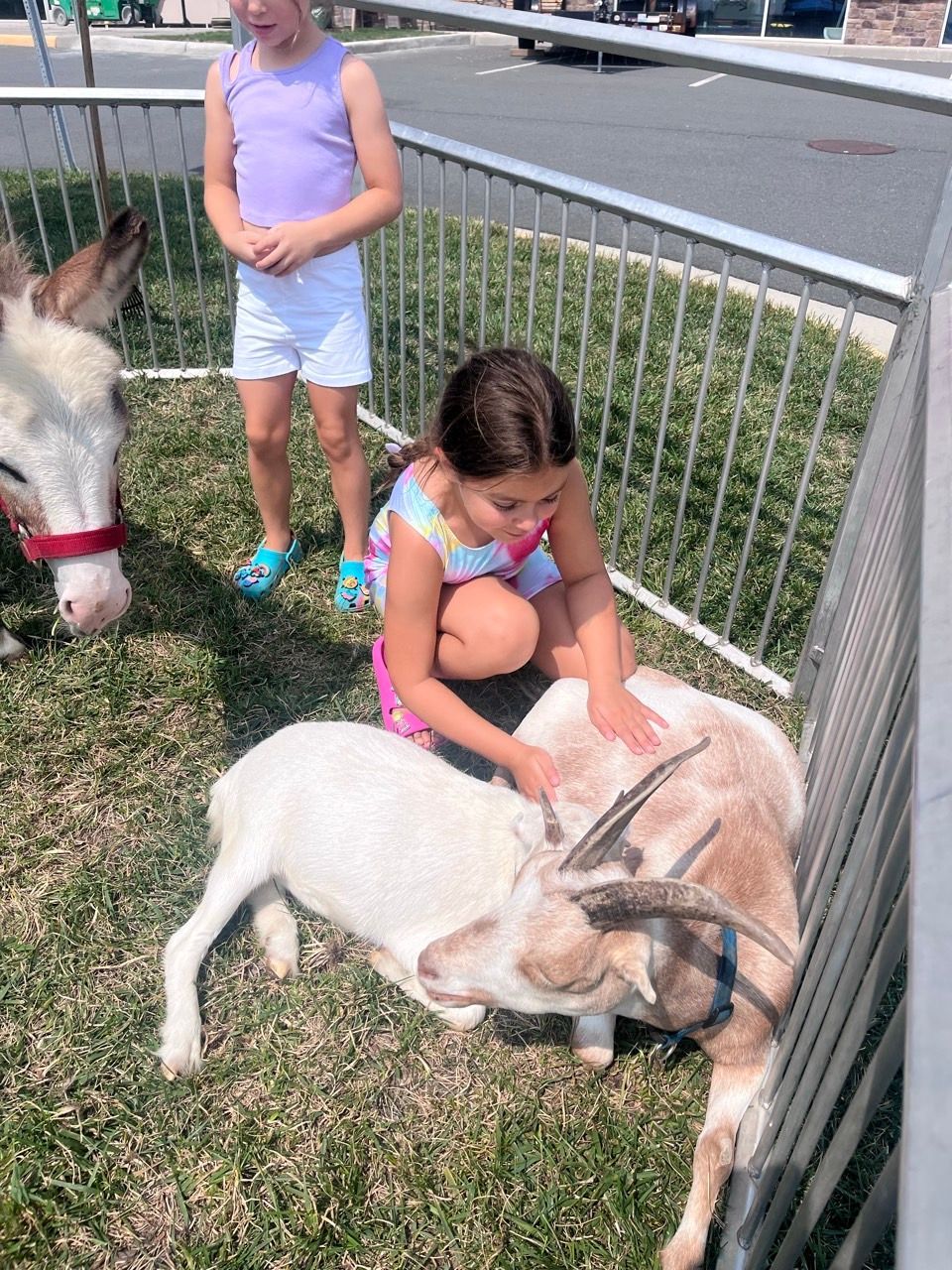 Campers having fun at a Hope Gymnastics camp in Ashburn, VA (photo 29)