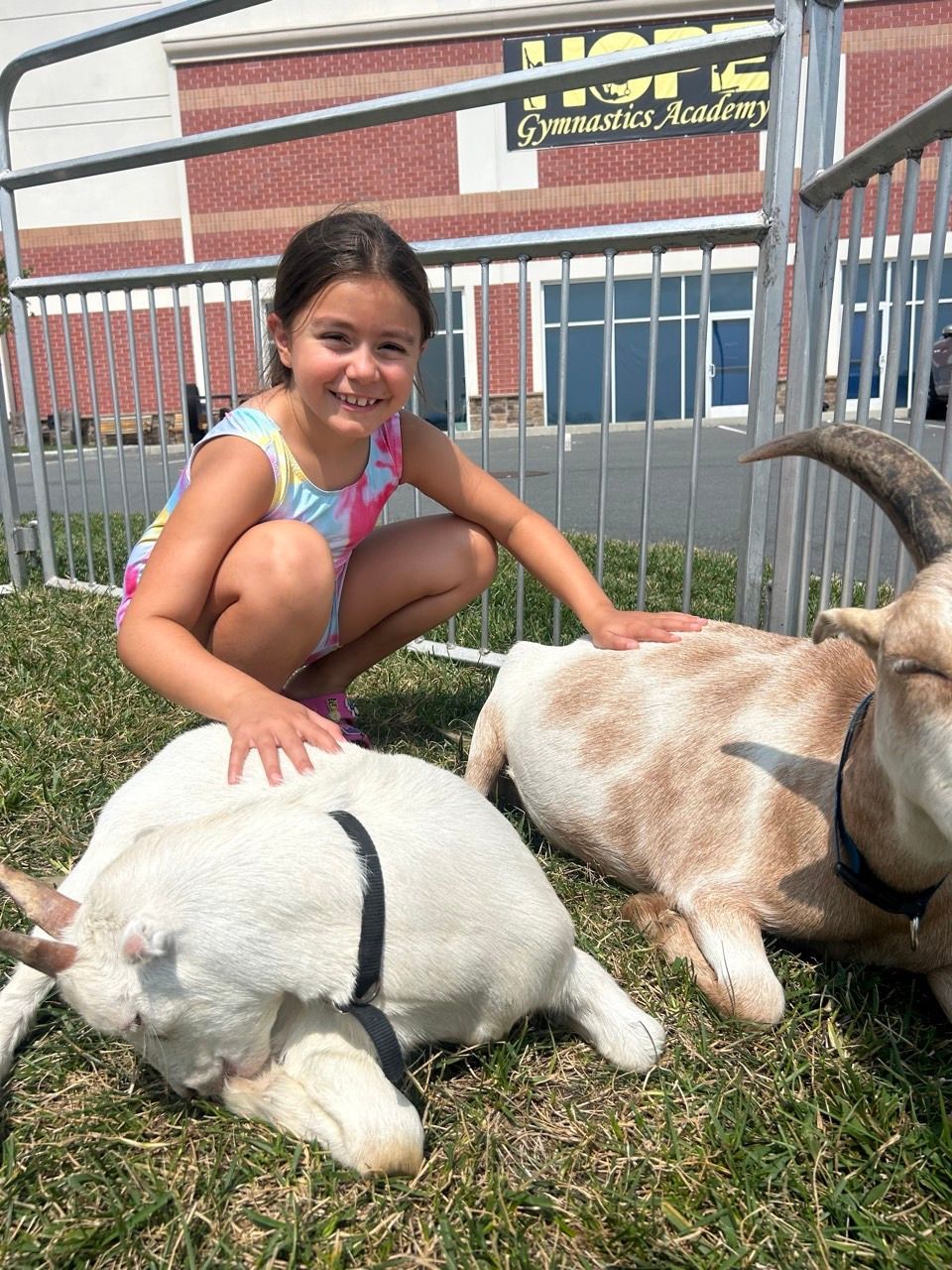 Campers having fun at a Hope Gymnastics camp in Ashburn, VA (photo 20)