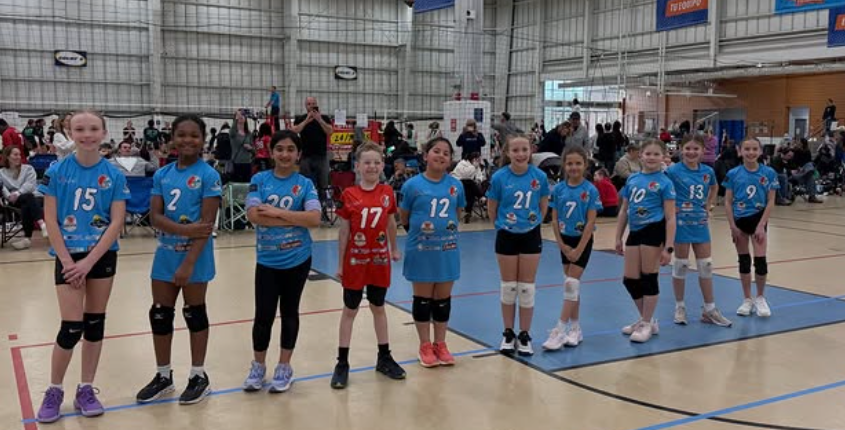 Indoor volleyball team lineup in blue and red jerseys standing on a court before a match