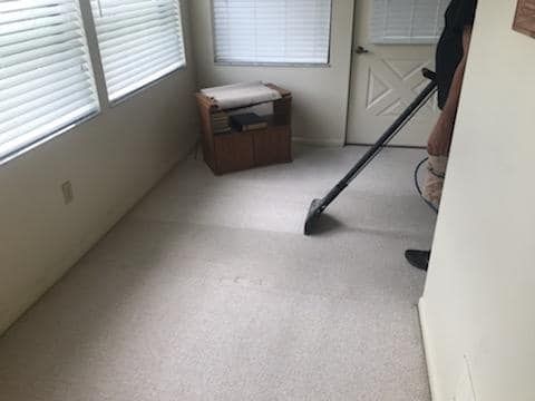 A person uses a professional carpet cleaning wand to clean light-colored carpeting in a room with white walls and windows.
