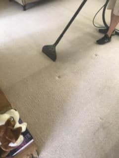 A person cleans a light-colored carpet with a vacuum cleaner, showing a clear contrast between dirty and cleaned areas.
