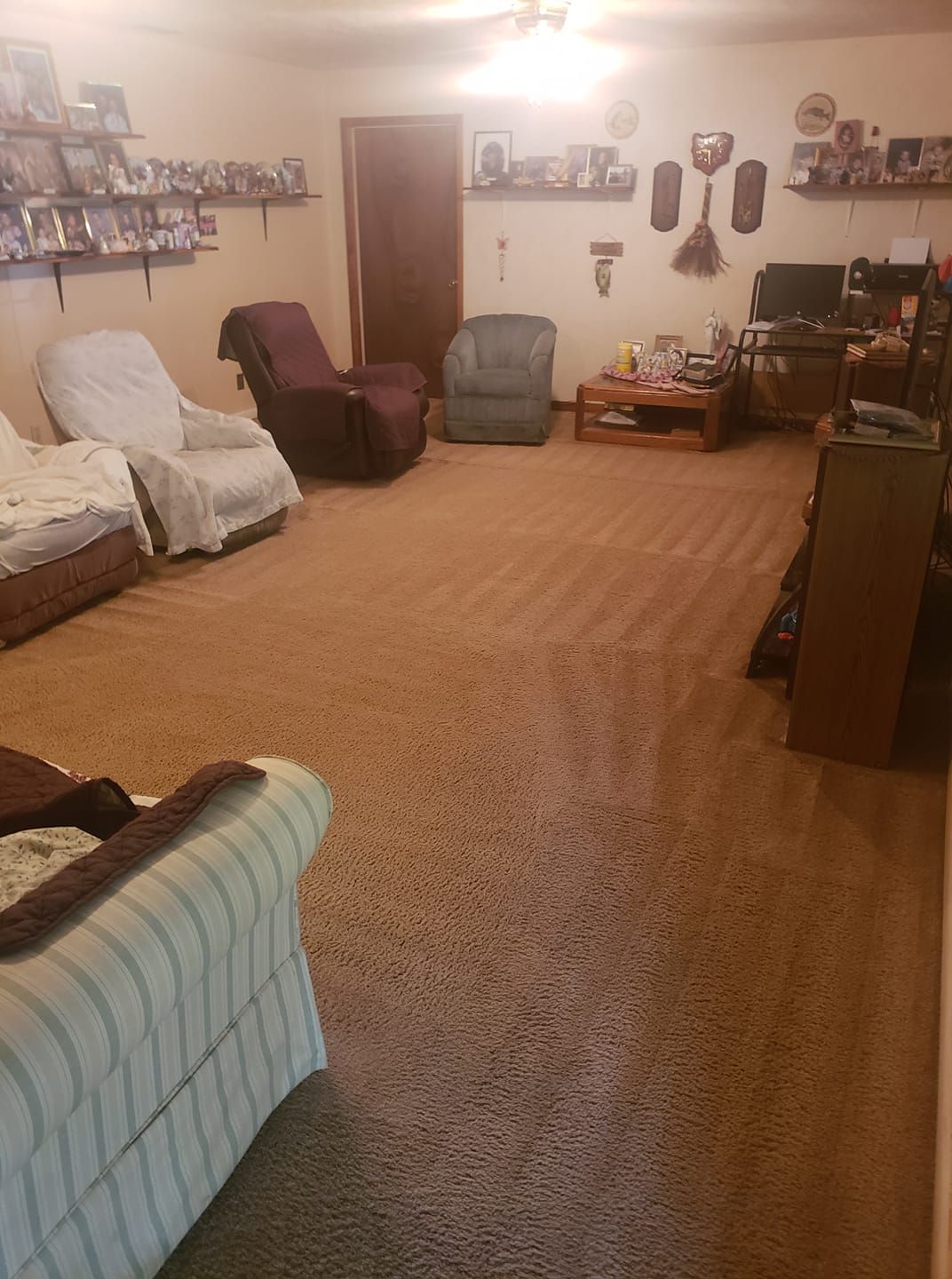 A cozy living room with tan carpet, multiple armchairs, a coffee table, and shelves adorned with various knick-knacks.