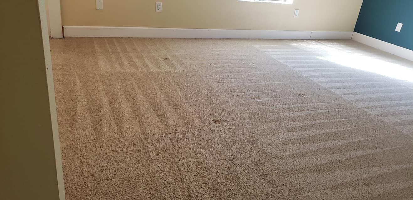 A freshly vacuumed beige carpet in a room with tan walls, a white baseboard, and a blue wall segment.