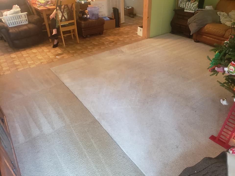 A living room with a freshly cleaned, light-colored carpet showing vacuum marks, adjacent to a wooden floor area.