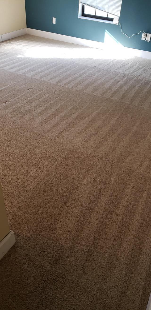 Freshly vacuumed carpet in a room with teal walls and a window with blinds.