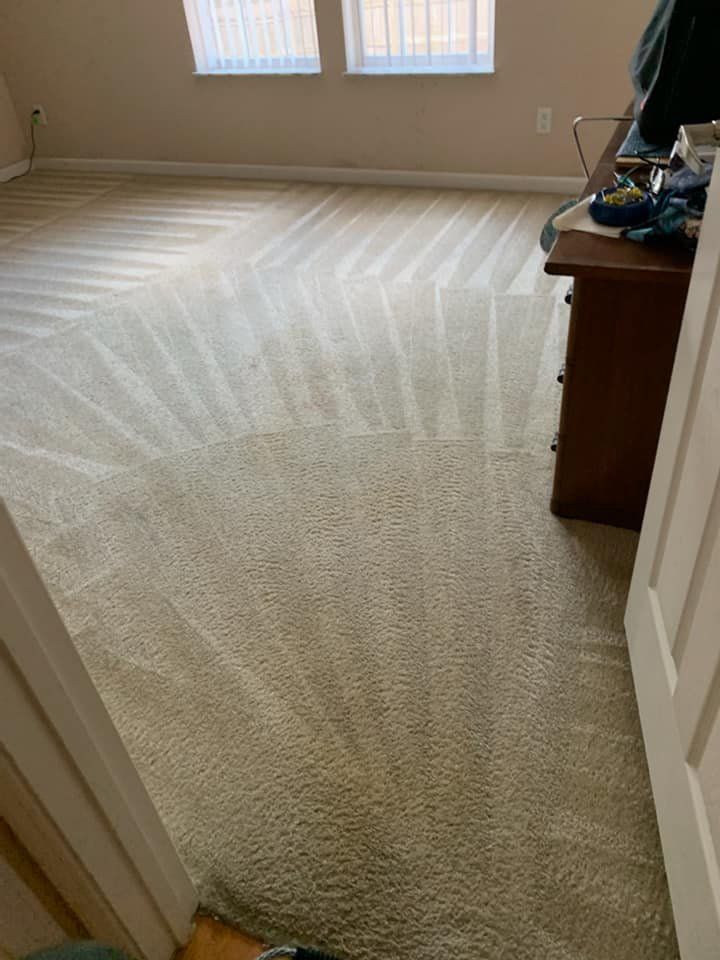 Freshly vacuumed carpet in a room with light-colored walls and a wooden dresser.