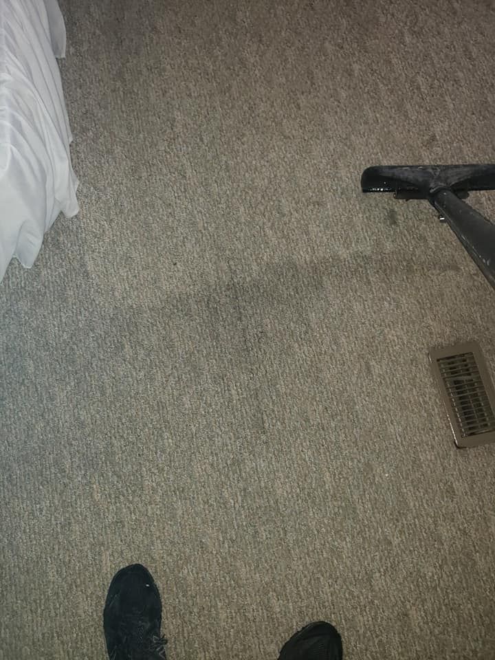 A close-up view of a vacuum cleaning light-colored carpet, showing a distinct line between dirty and clean areas.