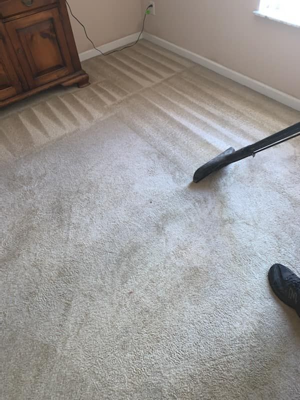 A vacuum cleaner nozzle cleaning a beige carpet, showing a clear contrast between dirty and freshly vacuumed sections.