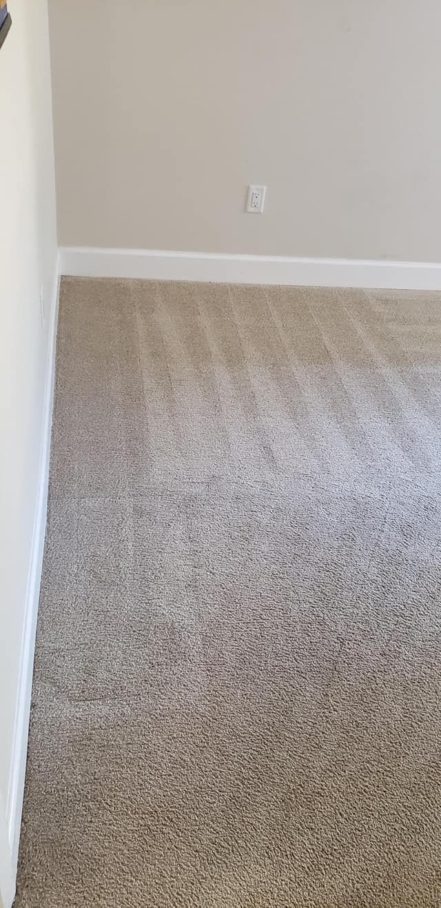 A carpeted floor in a neutral tone with visible vacuum lines, meeting a white baseboard and a light-colored wall.