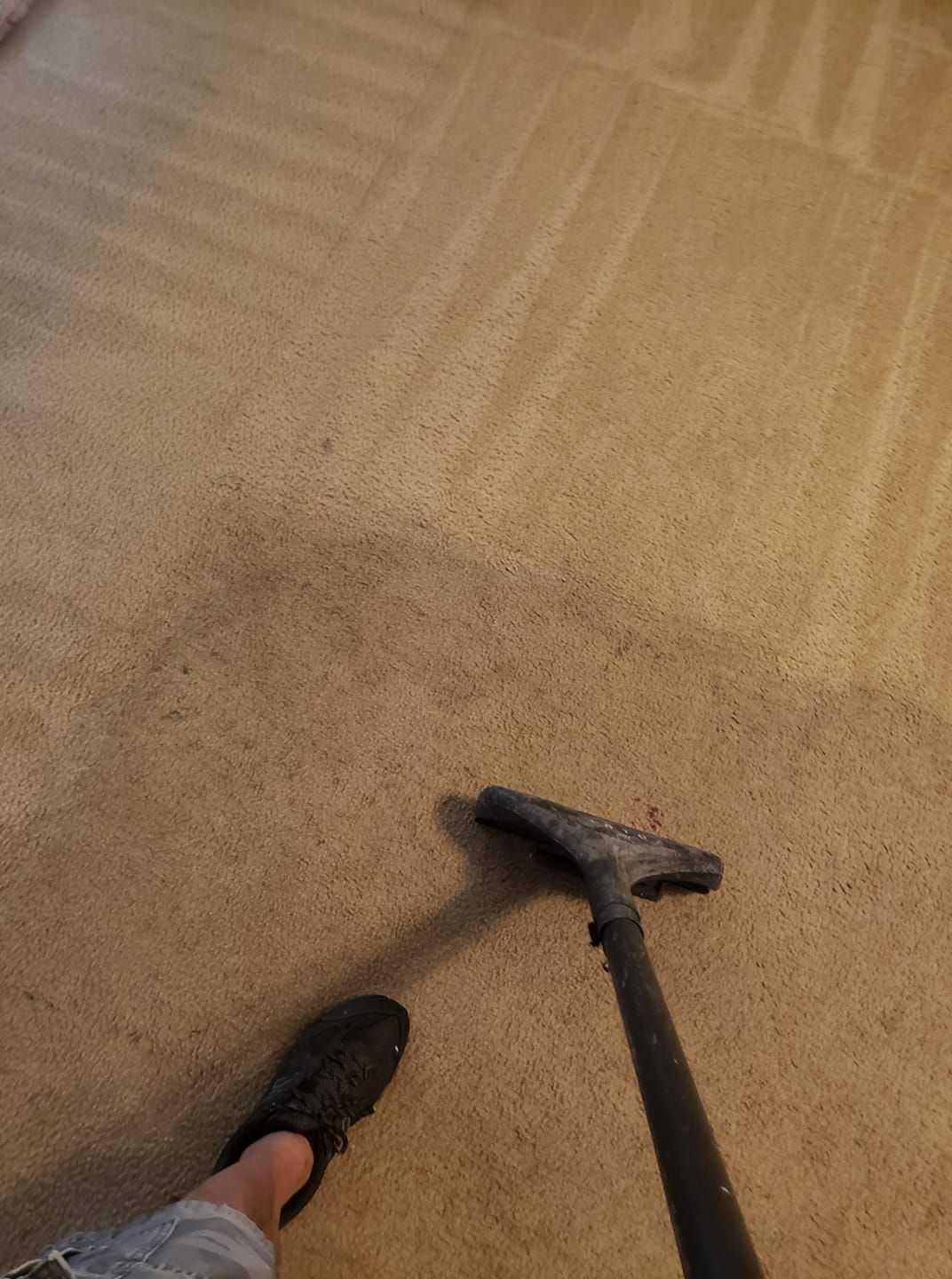 A person uses a carpet cleaning wand on tan carpet, showing a clean, damp path contrasted against the soiled carpet.
