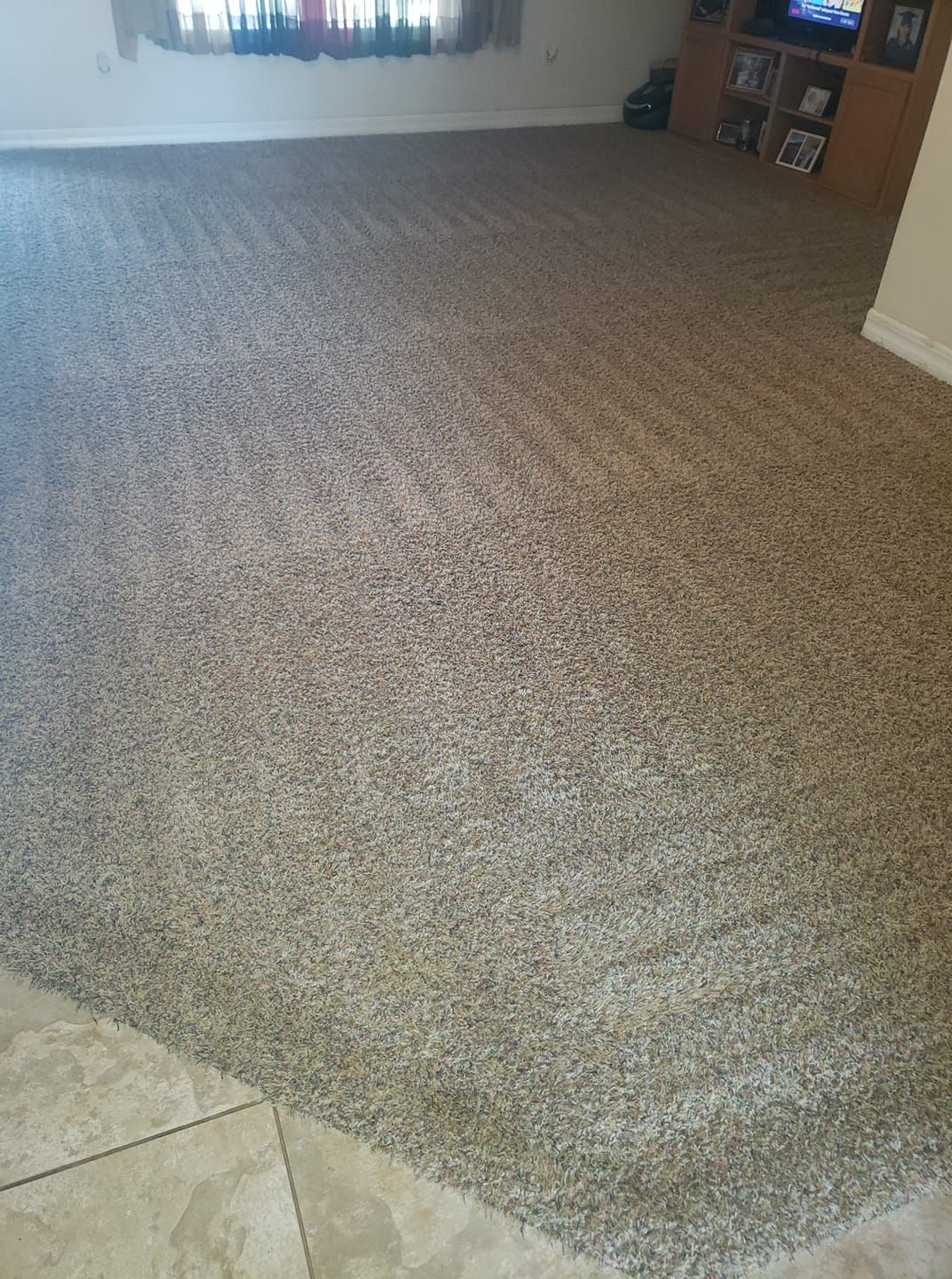 A room with wall-to-wall brown, speckled carpet transitioning to beige tile flooring, with a bookshelf in the corner.