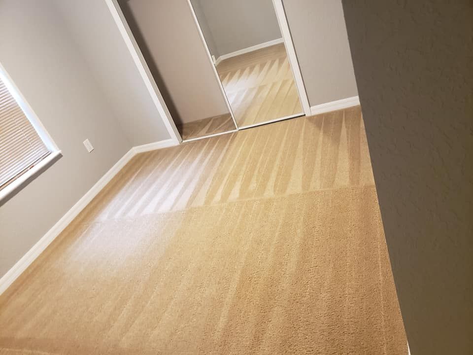 Empty room with light gray walls, freshly vacuumed tan carpet, a window with blinds, and a mirrored closet door.