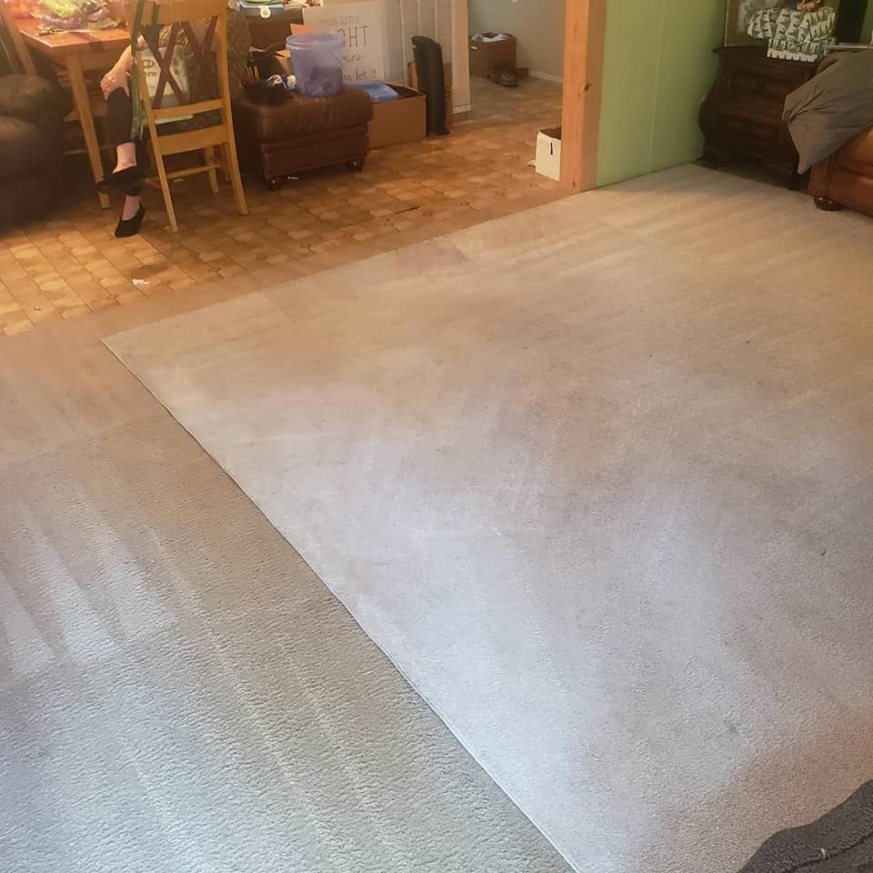 A carpeted living room floor showing a stark contrast between a freshly cleaned area and a noticeably soiled section.