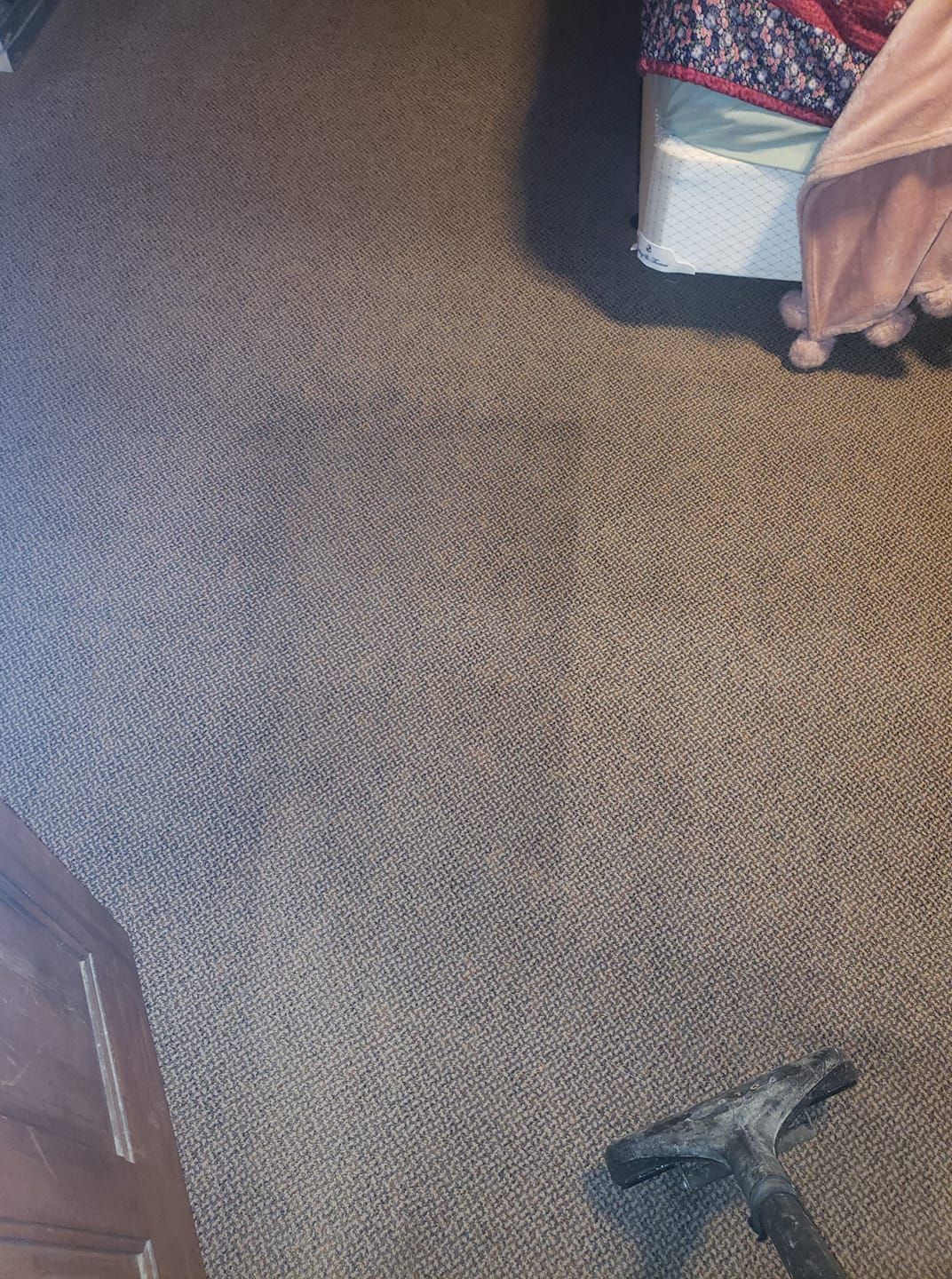 A vacuum attachment rests on a brown carpet, showing a clean, vacuumed path contrasting with the surrounding dirtier rug.