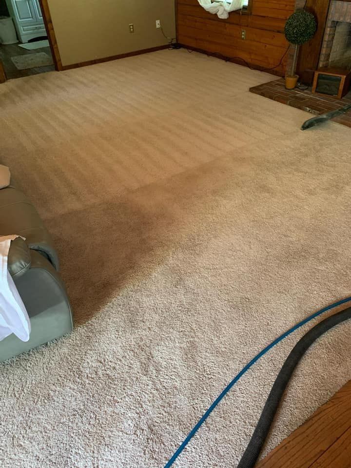 A carpeted living room floor showing a stark contrast between a clean, vacuumed section and a soiled, darker area.
