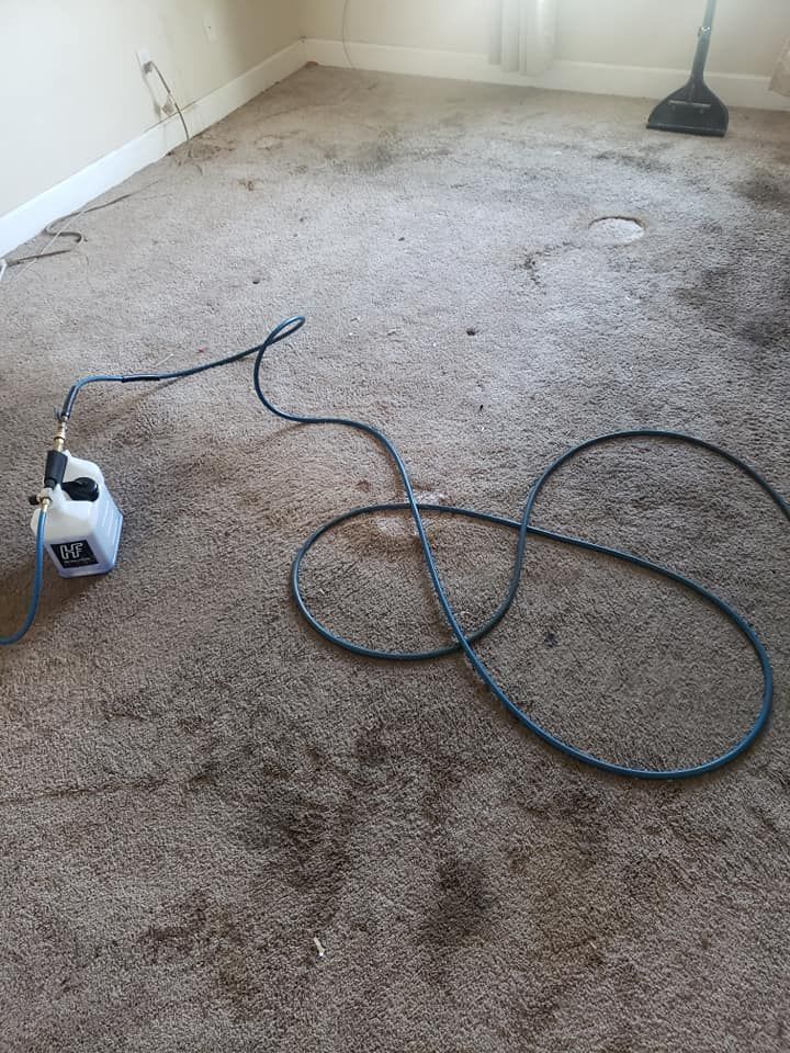 A bottle of carpet cleaner attached to a black hose lies on a stained, brownish carpet in an empty room.