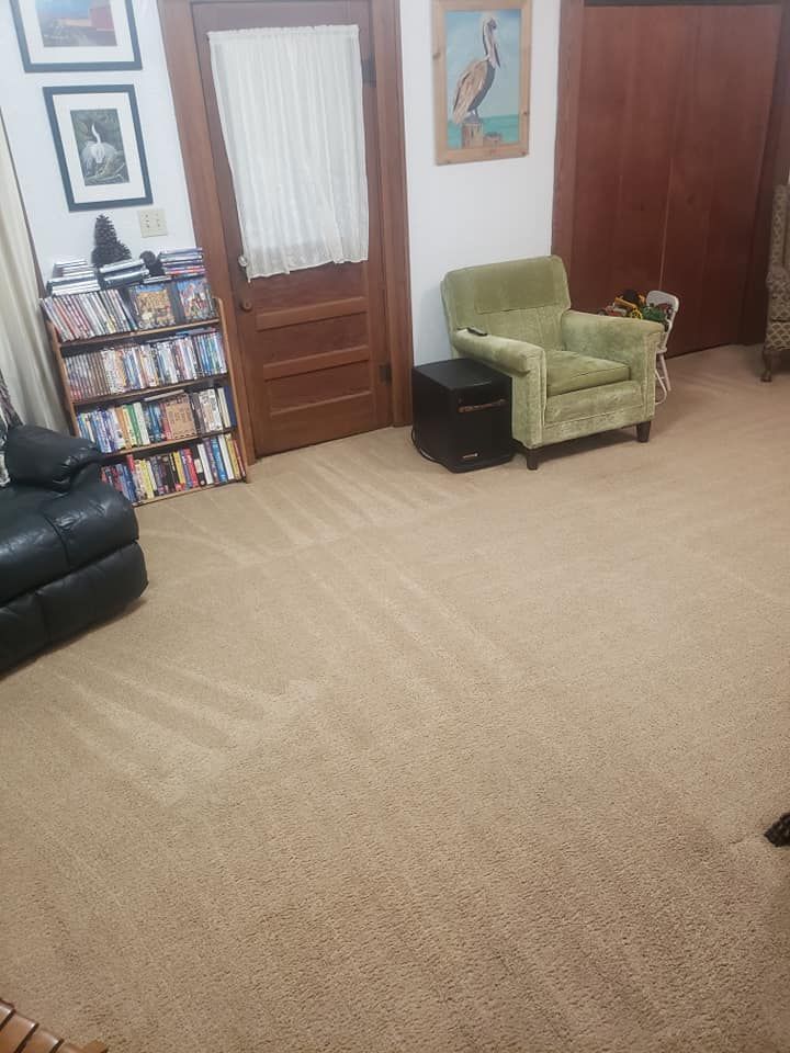 A living room with beige carpet, a bookshelf filled with movies, a sage green armchair, and a black leather sofa.