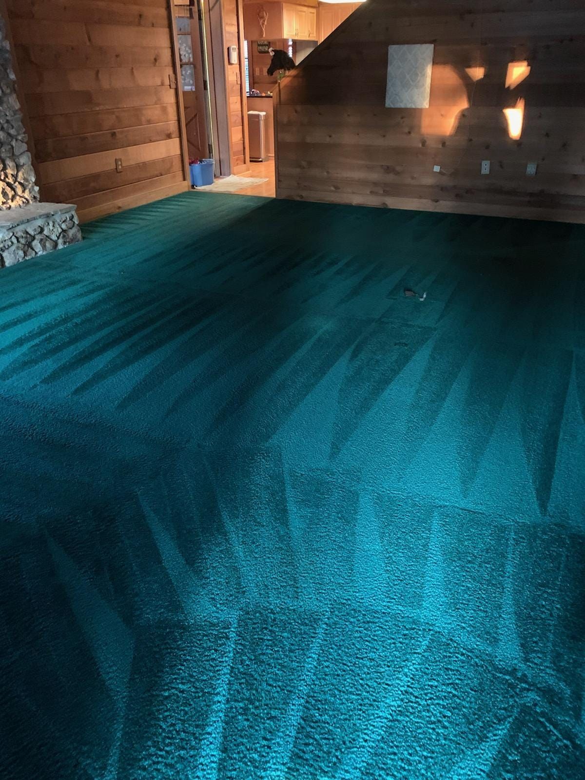 Teal carpet in a room with wood-paneled walls, showing prominent cleaning wand patterns across the floor.