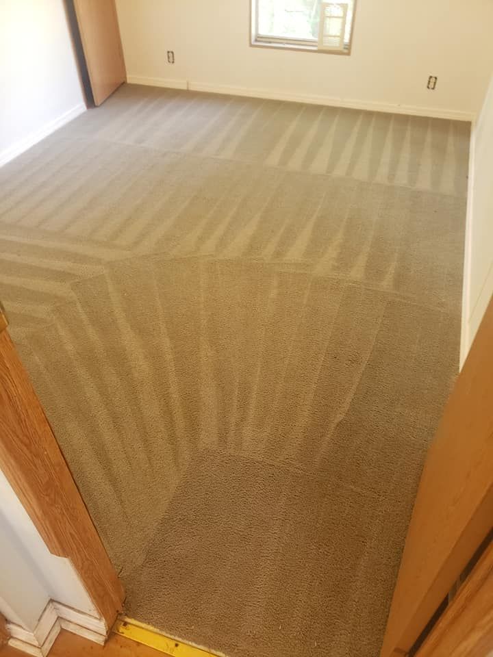 A freshly cleaned tan carpet in an empty room, displaying distinct fan-shaped vacuum marks across the floor.
