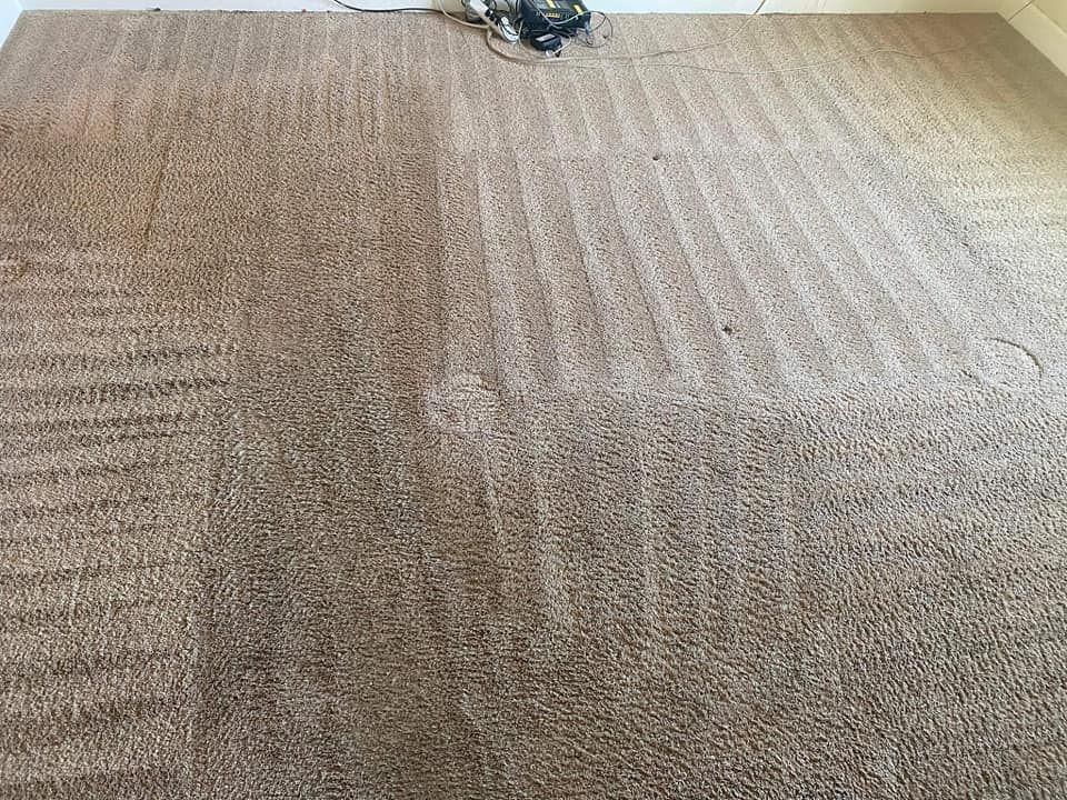 Light brown carpet showing clean and dirty areas with visible cleaning wand streaks and a round stain in the center.