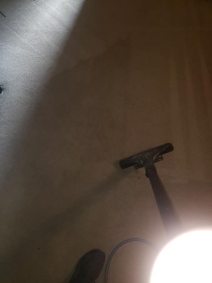 A close-up, dimly lit view of a carpet cleaner nozzle being used to clean light-colored wall-to-wall carpeting.