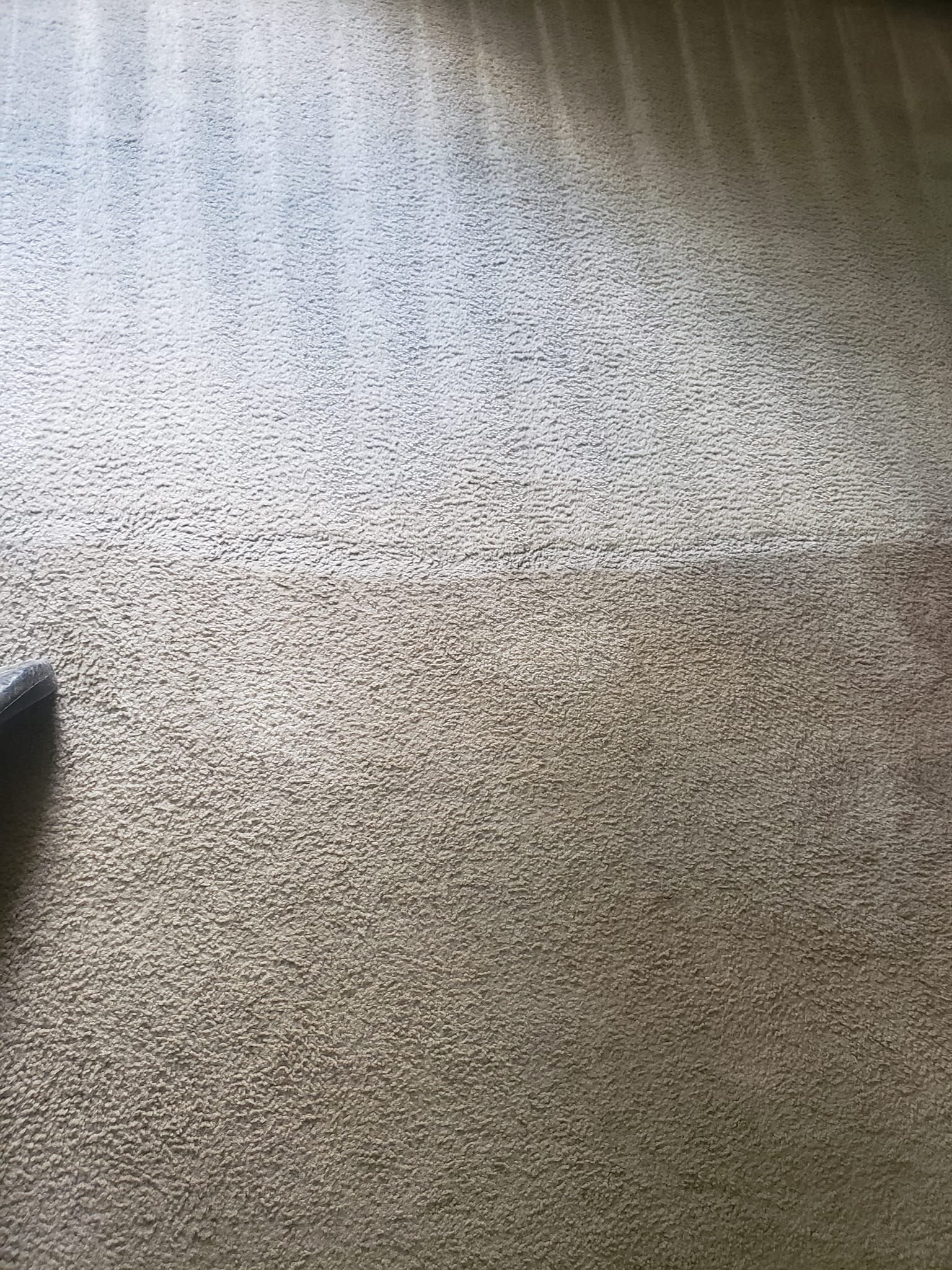 A high-angle view of a speckled, textured carpet showing a clear contrast between a clean area and a dirty, shadowed area.
