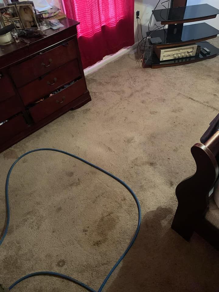 A blue vacuum hose snakes across a stained, tan carpet in a room with a dark wood dresser and a glass entertainment stand.