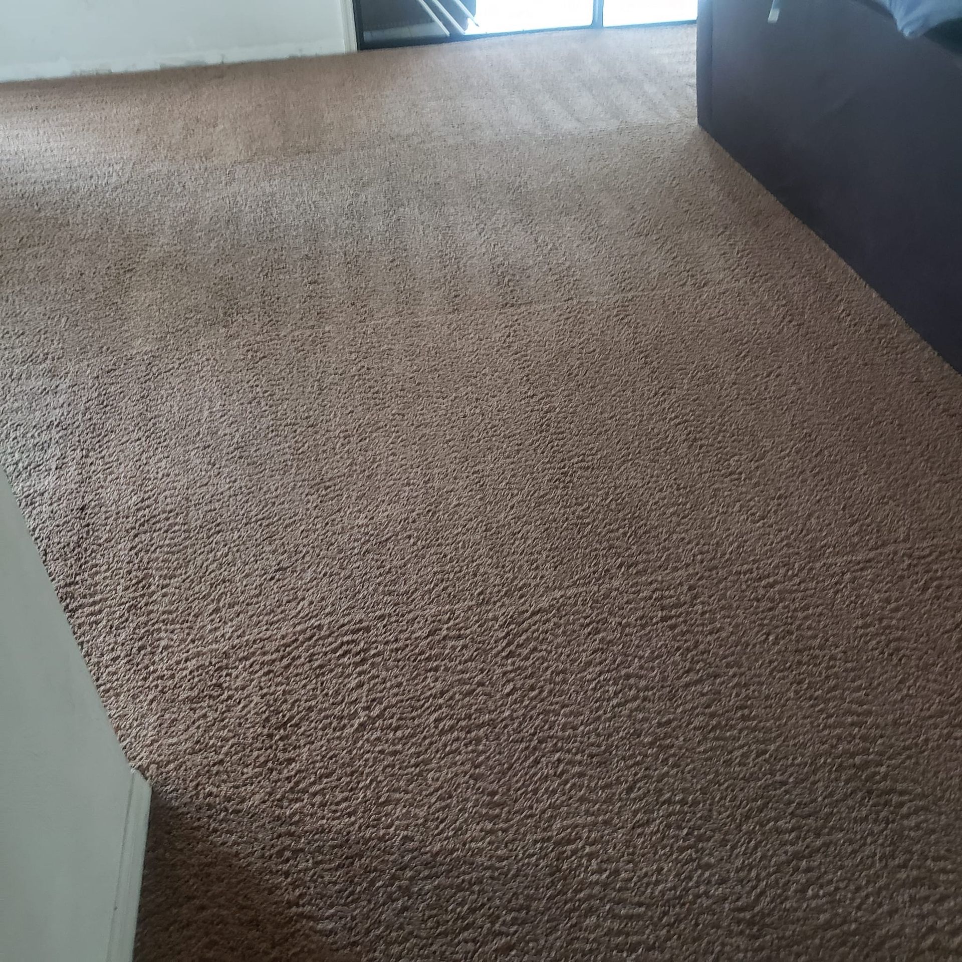 A patch of brown, textured wall-to-wall carpeting in a room with a white wall and dark furniture corner.