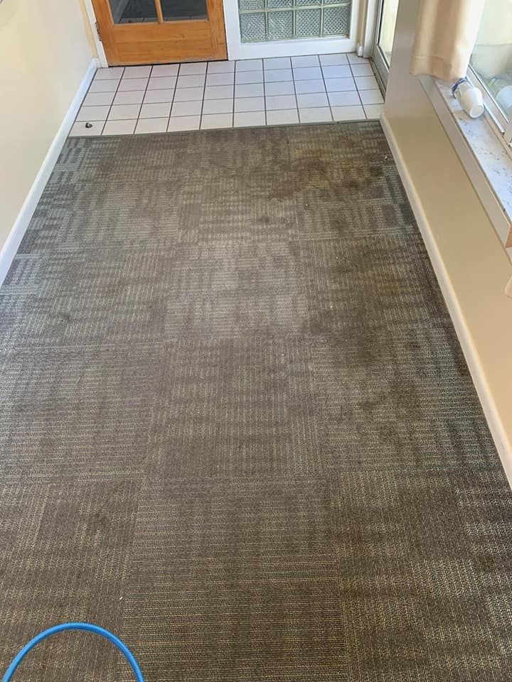 A hallway with a gray patterned carpet, transitioning to a white tiled area near a door and a window.