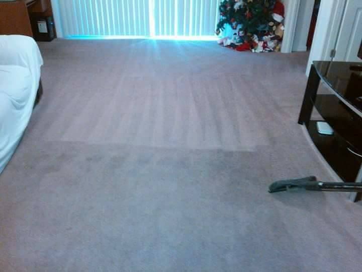 A living room carpet showing a clean, vacuumed area in the middle of a darker, soiled carpet, with a vacuum nozzle visible.