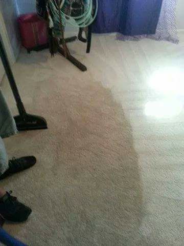 A person uses a cleaning tool on a light-colored carpet, showing a distinct line between cleaned and dirty sections.