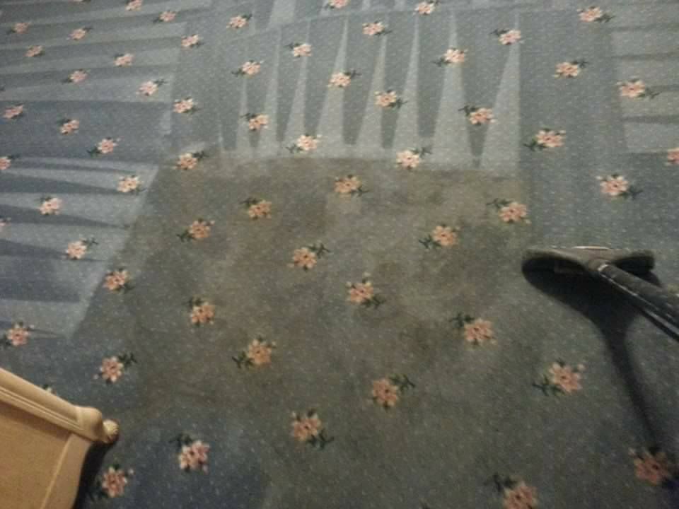 A blue carpet with a floral pattern being cleaned by a vacuum wand, showing a clean, light-colored patch.