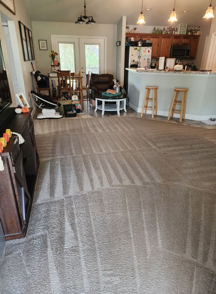 A freshly cleaned carpet with visible vacuum tracks leads toward a kitchen with a breakfast bar and dining area.