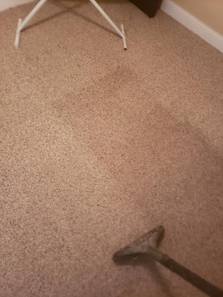 A person uses a carpet cleaner tool to vacuum a beige carpet, showing a distinct line between cleaned and dirty areas.