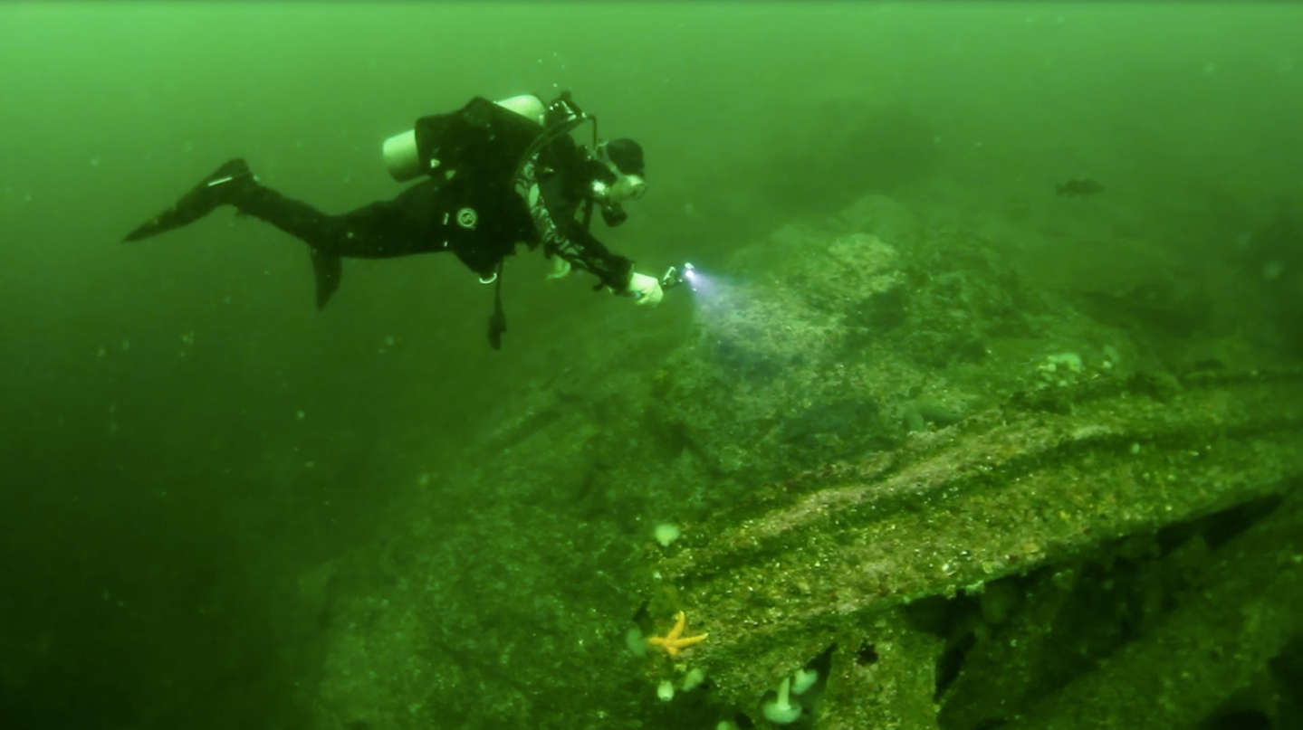 A scuba diver is swimming in the water with a flashlight near Woods End Landing in Bamfield BC
