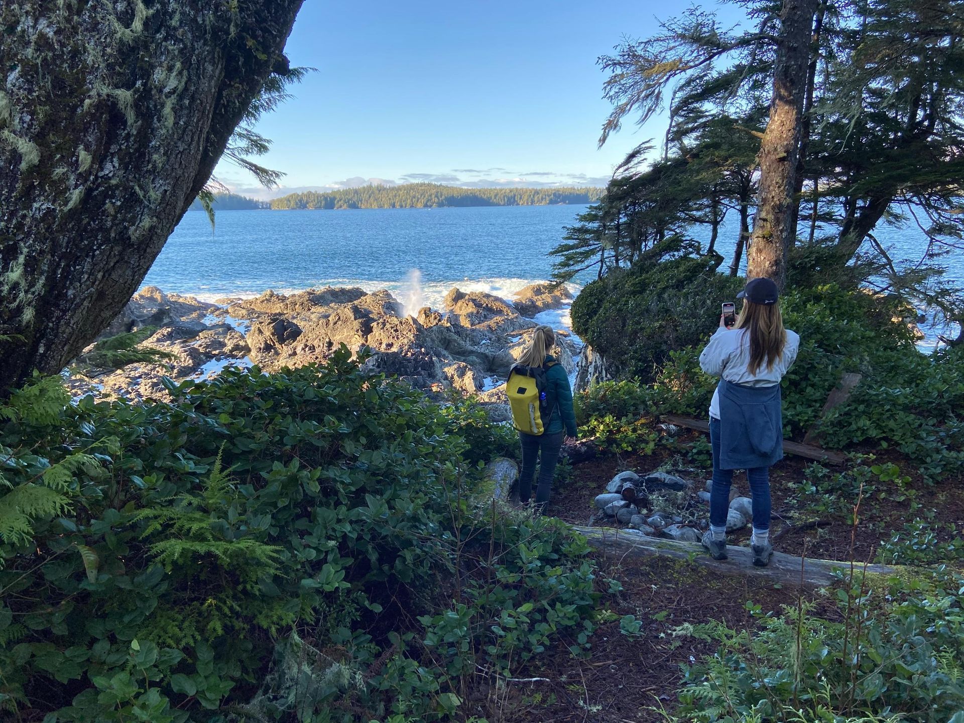 A group of people are standing on a path overlooking the ocean.