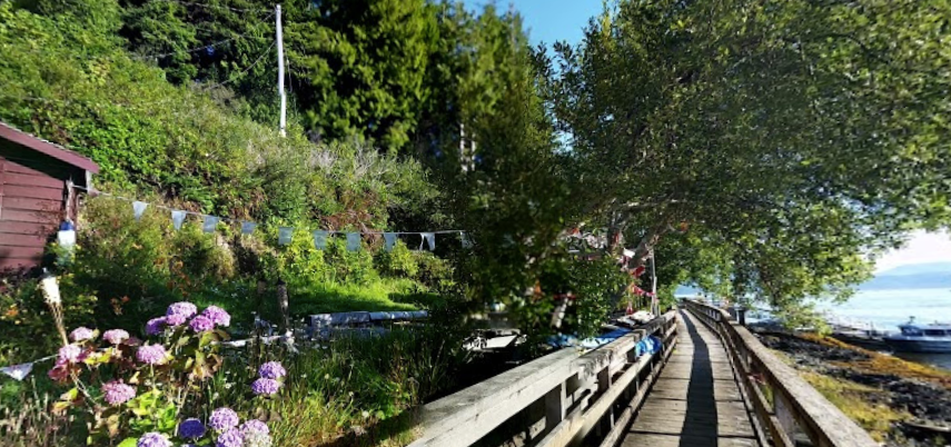 A wooden walkway leading to a body of water surrounded by trees and flowers.