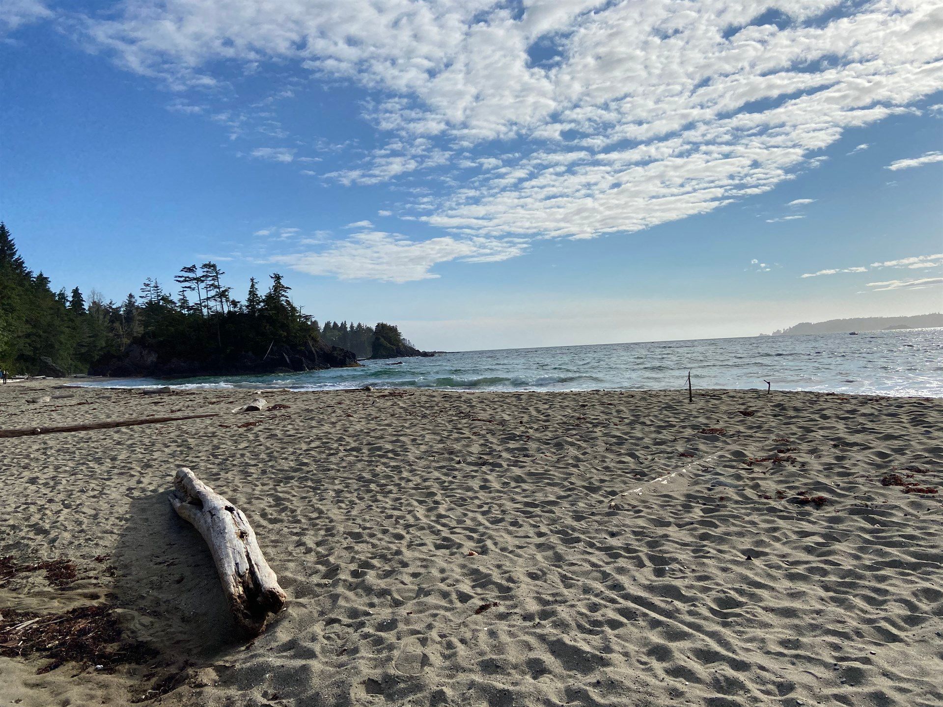 A log is laying on the sand on a beach near the ocean.