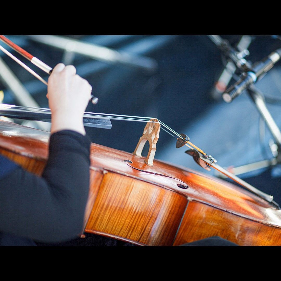 Enjoy violin during classic music Festivals while staying at Woods End Landing in Bamfield