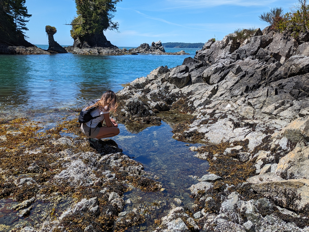 Enjoy the tide pools and watch the starfish and other sea life in Bamfield on the beaches