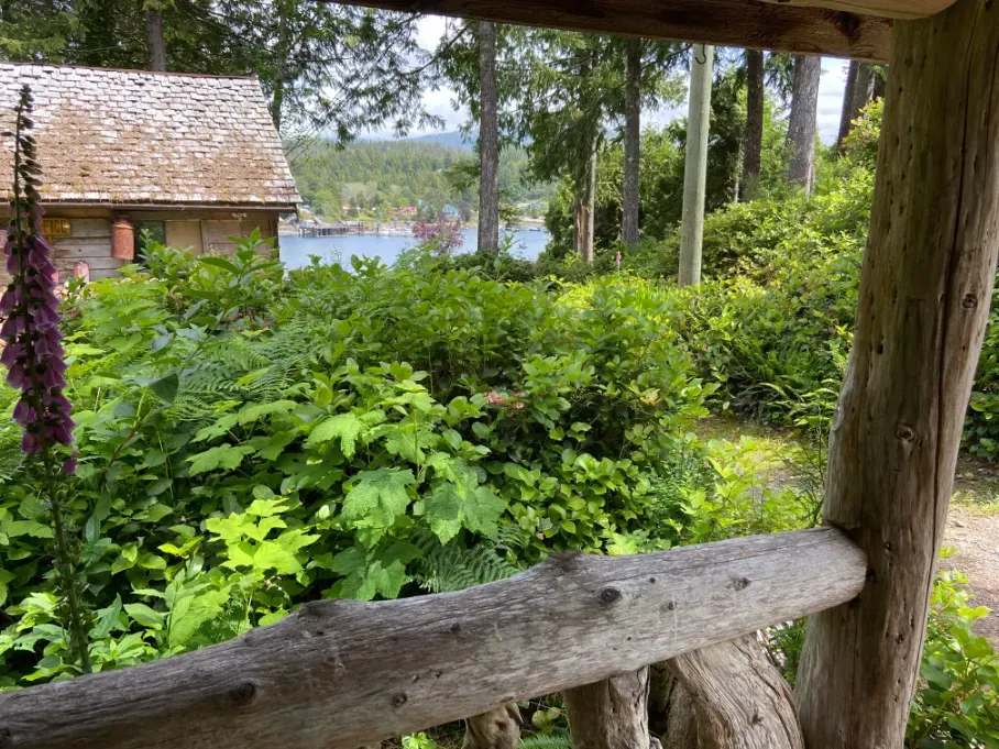A wooden railing overlooking a lush green forest with a house in the background.