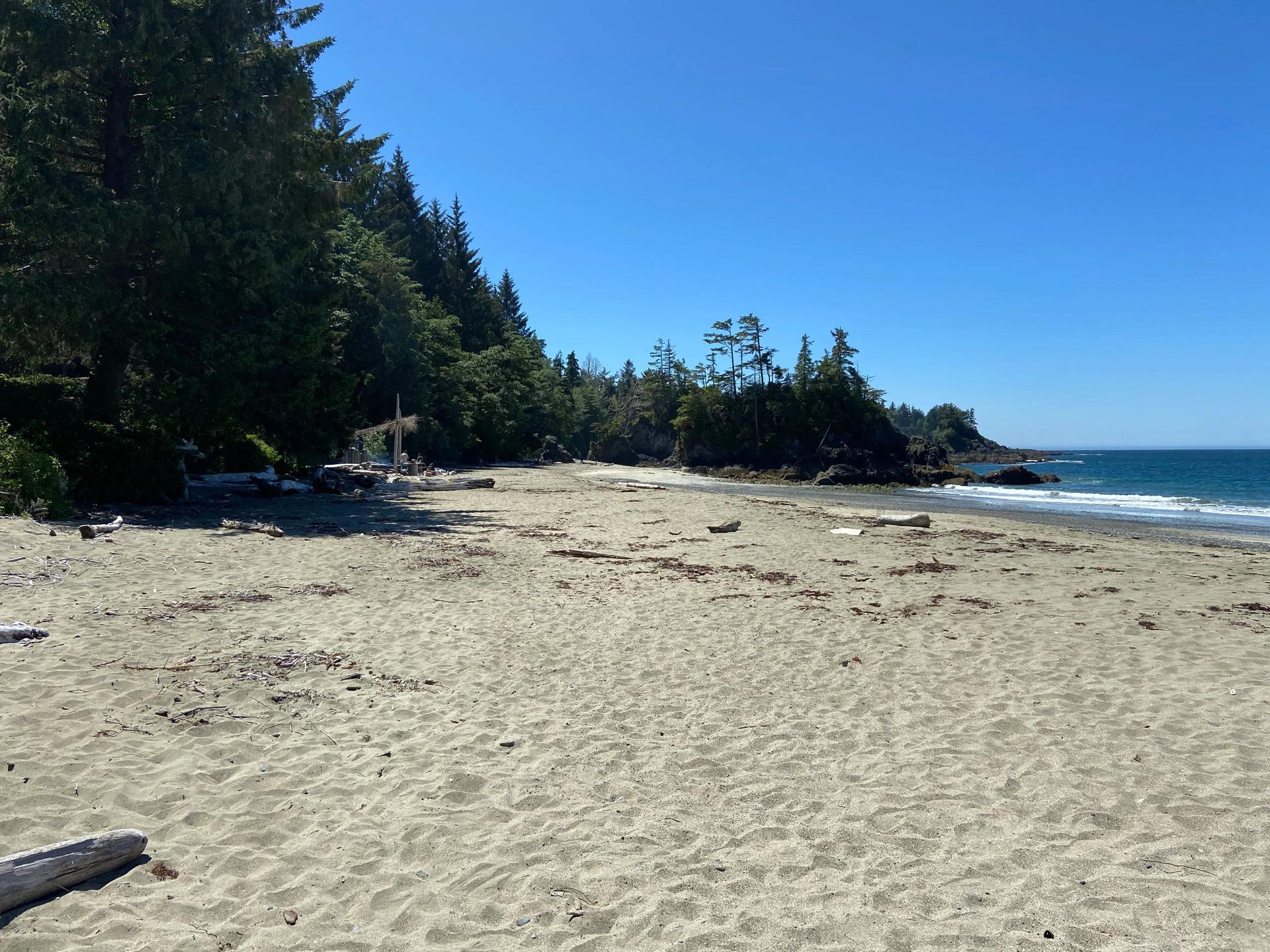 A sandy beach with trees and a body of water in the background