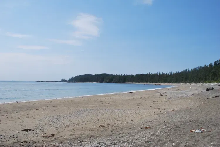 A beach with trees in the background and a blue sky