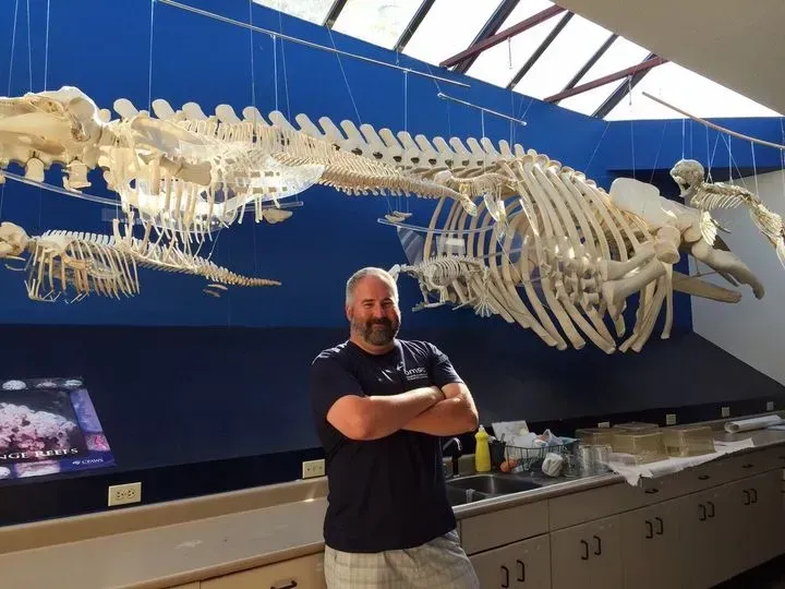 A man stands in front of a large whale skeleton near Woods End Landing at Bamfield Marine Science Center