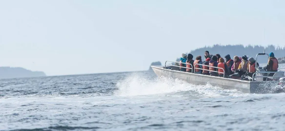 Enjoy whale watching in Bamfield direct from Woods End Landing dock.
